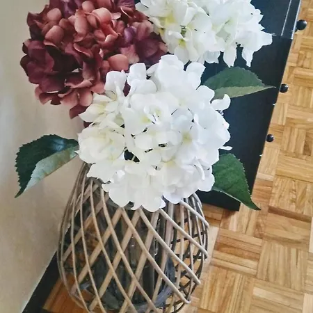 Apartamento Araceli *